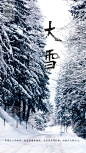 大雪微信海报.节气海报