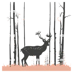 鹿剪影鹿森林野生动物自然-森林场景中的黑白鹿