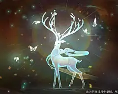 木_星梦神鹿 瑶光5