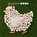 宠物冻干拍摄拍照|产品摄影|静物拍摄|RUIFENG锐锋摄影摄影设计