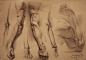 human anatomy 6 by i...@沉默的无限未知采集到人体结构(724图)_花瓣插画