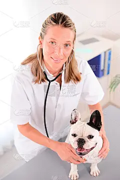 快乐的年轻兽医照顾宠物狗法国牛头犬