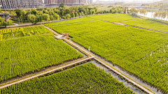 INSANE_K采集到VILLAGE