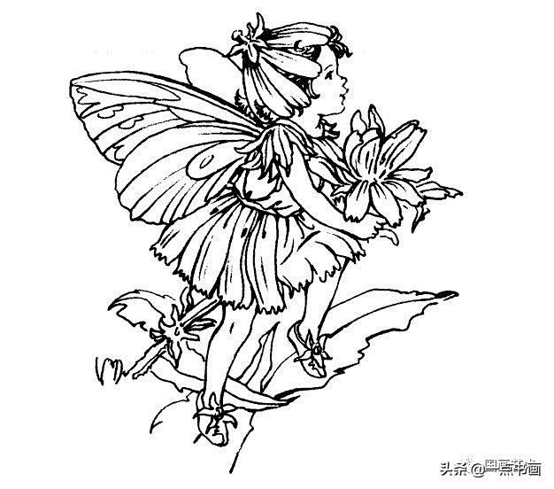 线描花仙子真的好美