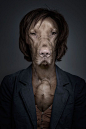 Underdogs by Sebastian Magnani, via Behance #inspiration ##photomanipulation #dogs