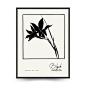 现代抽象黑白花朵花卉无框画插画矢量图设计素材