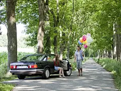 车轿跑车梅赛德斯 - 奔驰S级梅赛德斯 - 奔驰S级1981 - 壁纸（#1977519）/ Wallbase.cc