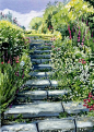 Garden Steps - watercolour by Dorothy Pavey. Love the idea for front yard.