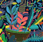 Jing Zhang on Behance