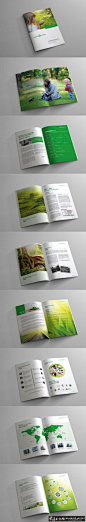 绿色清新自然环保画册设计 创意绿色照片元素画册封面设计 绿色和白色的画册配色方案图