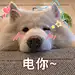 麻花咕咕叫