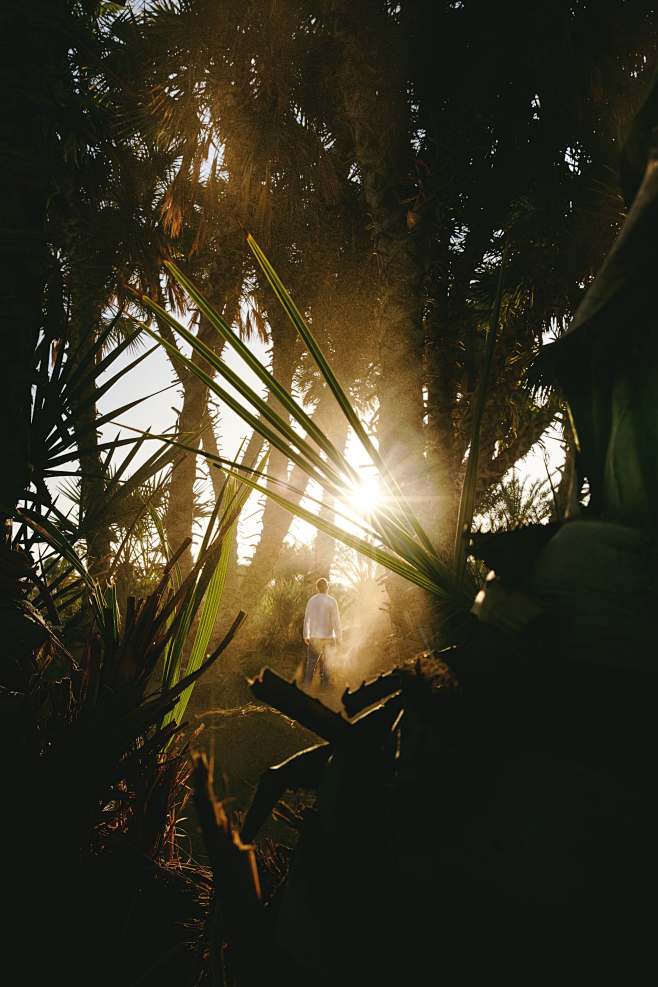 the sun is shining t...