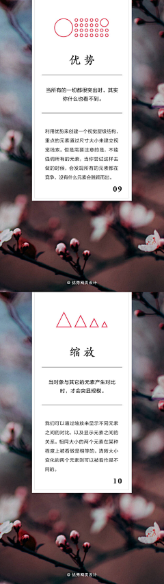 奶盖-采集到排版设计