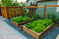 NW Portland Urban Garden : A total landscape renovation of an aging Tudor home in NE Portland.  Removal of 50 year old + plants and concrete led way to a new paver driveway, courtyard and entry path.  Wood accents in the form