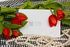 贺卡,郁金香,红色,斯特兰德,珍珠牡蛎,空白的,留白,边框,水平画幅,标签