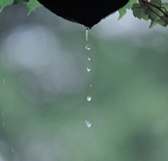 尔雅·采集到■ 【一捧°  雨声】