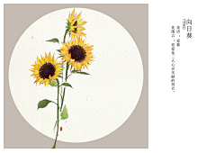 zhidengyigeren1314采集到人文艺术-2019