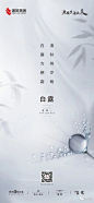 白露