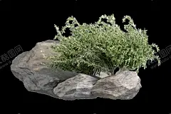 免扣植物素材图片花草免扣 【酷图网】矢量树,绿色树木,树木素材,免抠树木,花丛,藤蔓,园林设计,树,道路树,树免扣,绿树,道路树木,建筑效果图,枫树,果树,树丛,草丛,绿色植物,绿色,树木,园林,围栏,植物插画,图片素材,奇石,景观石,花草,免扣,植物素材,素材