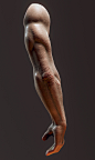 男性手臂雕刻