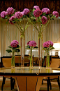 beautiful hydrangeas @Mandy Bryant Bryant Dewey Seasons Hotel Cairo at Nile Plaza: