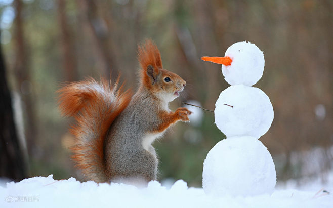 堆雪人2015年1月13日报道，俄罗斯一...