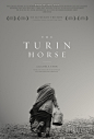 都灵之马The Turin Horse(2011)海报(英文) #01