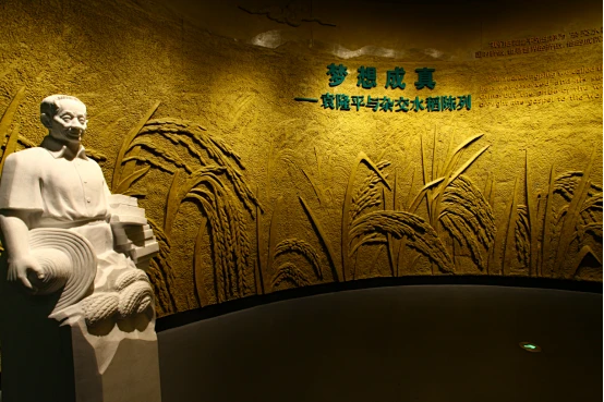 袁隆平水稻博物馆——纪念国士 花瓣网 