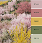 Coming up with brand colors can be tough- so I’m here to help you out. Here are 12 modern, sophisticated brand color palettes that you can use to create your brand identity, website, print materials & package designs! Hex numbers are included so you c
