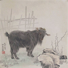 海蓝和你采集到生肖