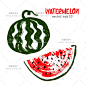 e183水彩插画水果草莓西瓜樱桃食品生鲜装饰背景墙矢量设计AI素材-淘宝网