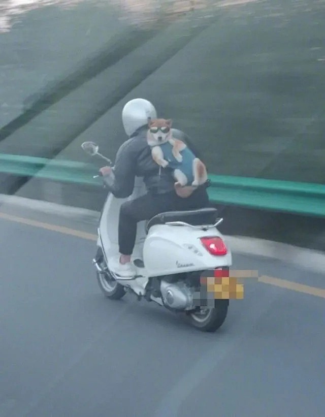 沙雕头像