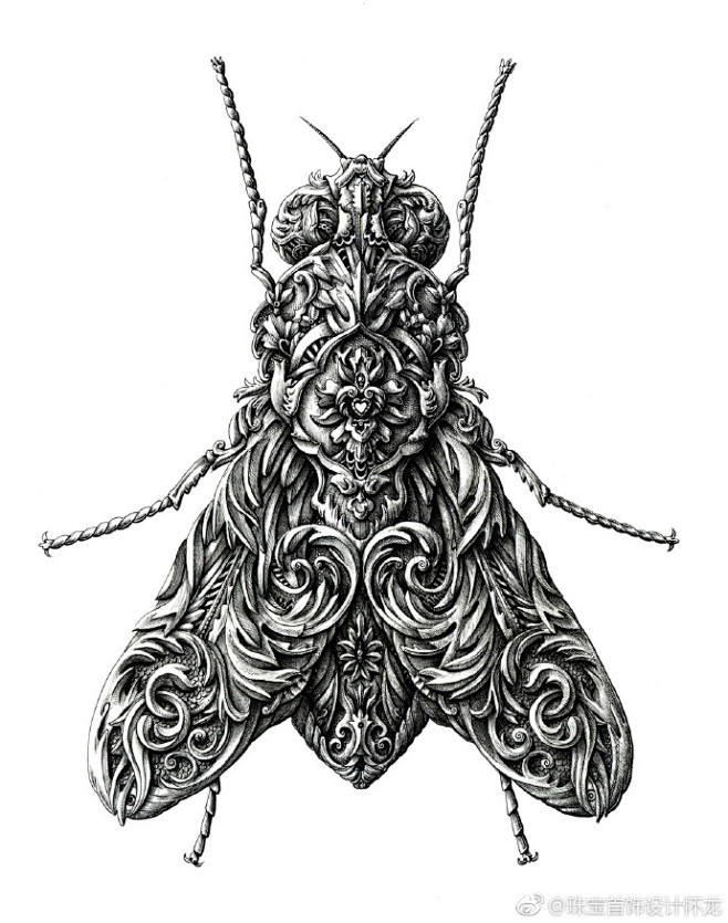 Alex Konahin 作品 ​​​​