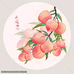 水蜜桃桃子插画