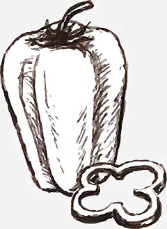 素描辣椒矢量图_新图网 https://ixintu.com 手绘 根茎 叶子 辣椒 斑纹 黑白 蔬菜 矢量图