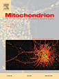 Go to journal home page - Mitochondrion