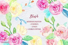 腮红水彩花卉插画婚礼请柬情人节贺卡面料设计素材模板 Watercolor Collection Blush