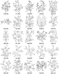 #SAI资源库# 235个动漫线稿中式白描花卉植物花朵花纹绘画参考，值得收藏，转需~