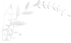 圻圻聪采集到剪纸