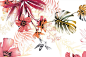 Wax Revolution Salon | Mural Illustrations : Mural illustrations for hair removal salon Wax Revolution in Mexico City.The brief was to use (tropical) garden flowers with the occasional bird, and a very feminine colour scheme.