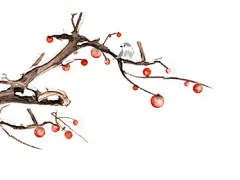 彩色手绘卡通霜降冬至秋天果实柿子二十四节气元素PNG素材