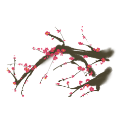 Mr小百万采集到梅花