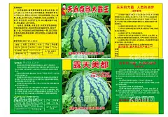 西瓜贴纸  - 源文件下载【酷图网】西瓜贴纸,简介,名片,图片,不干胶