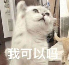青衫隐隐二妹子采集到表情包