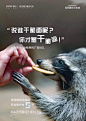 微信图片_20200514153425