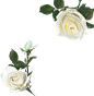 flowerrt.png (860×882)