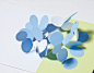 贈る・飾る POP-UP BOOK | PIE International