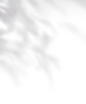 26a297cc01e1a49152bc3464550bdb6f
