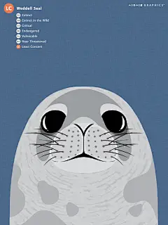 一组呼吁保护动物的海报，左上角的标识意味着这个物种存活量已经到了哪种地步，最上面的是已经灭绝的。仔细看它们的眼睛，你看到了什么？