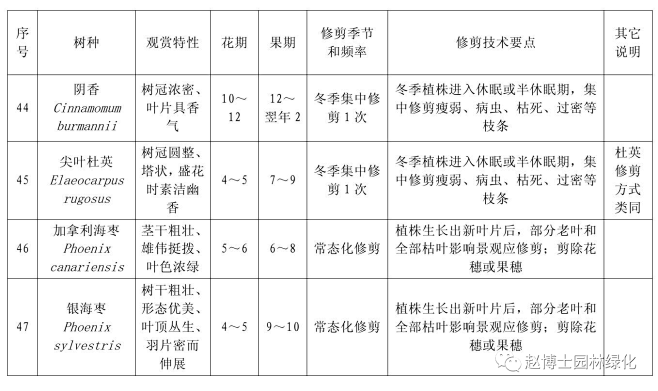 阴香-尖叶杜英-加拿利海枣-银海枣